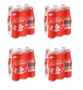 ULUDAG GAZOZ EFSANE PLAIN GLASS 24 x 250 ML
